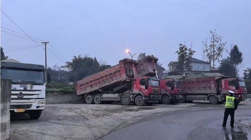 营山汽车被罚款多少